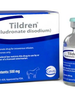 Tildren