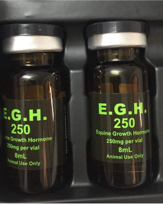 EGH