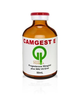 Camgest E