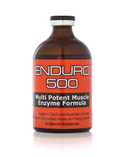 Enduro 500