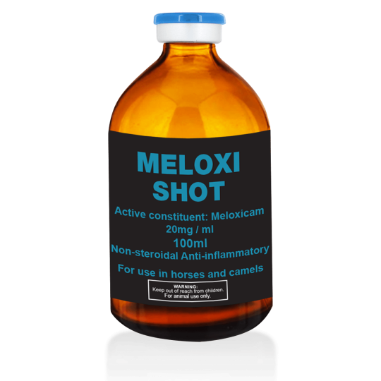 Meloxi Shot