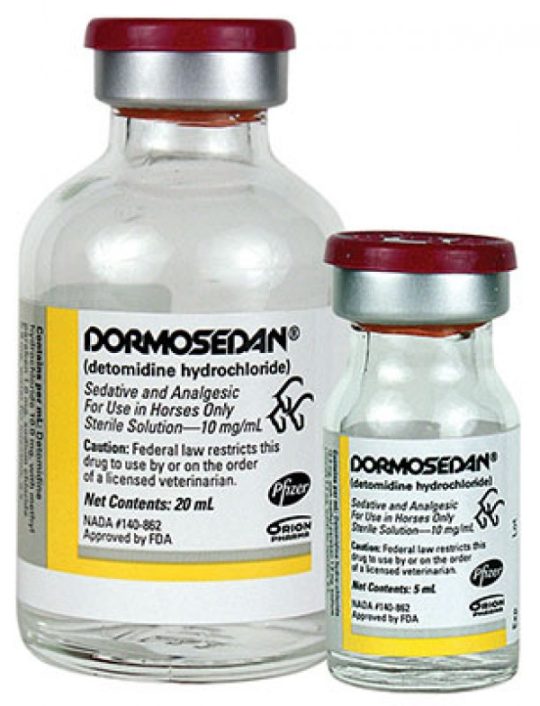 DORMOSEDAN INJECTABLE