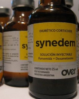 SYNEDEM