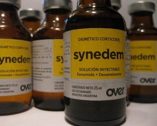 SYNEDEM