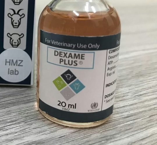 dexame plus