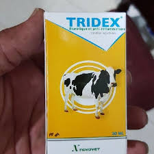 TRIDEX
