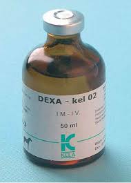 DEXAKEL 02