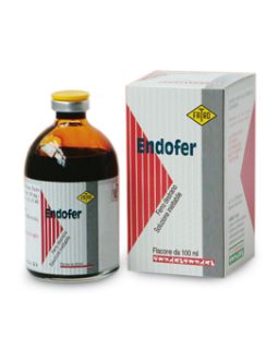 ENDOFER 20