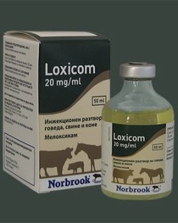 LOXICOM 20MG/ML