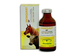 bronquivet