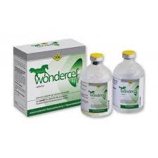 Wondercef