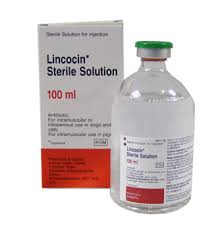 linco-spectin