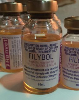 FILYBOL