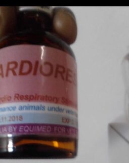 Cardiores