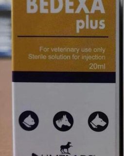 BEDEXA PLUS