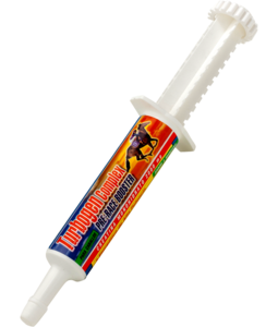 Turbogen Complex