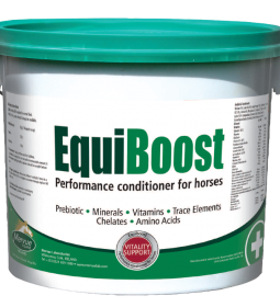 EQUIBOOST