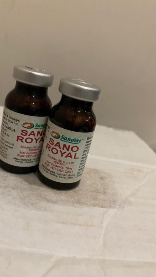 SANO ROYAL