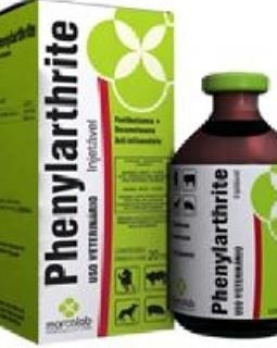 Phenylarthrite
