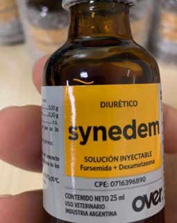 synedem