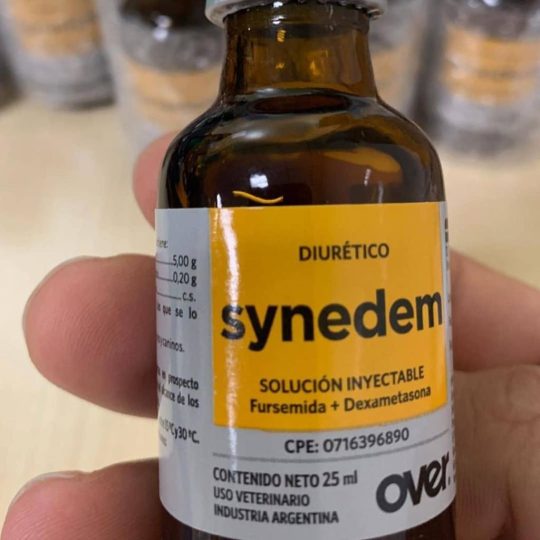synedem