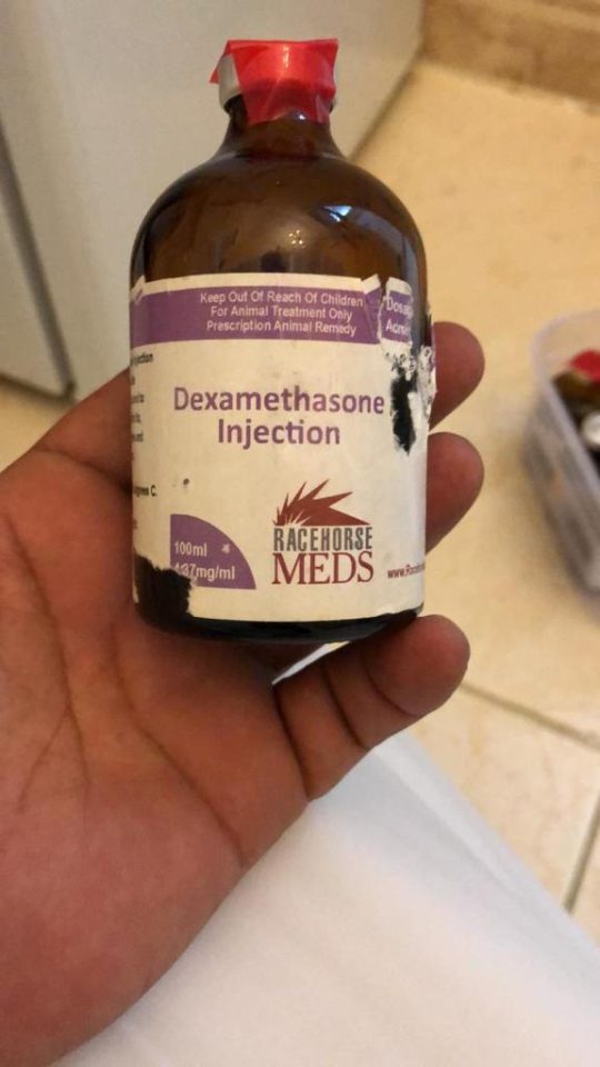 dexamethasone injection