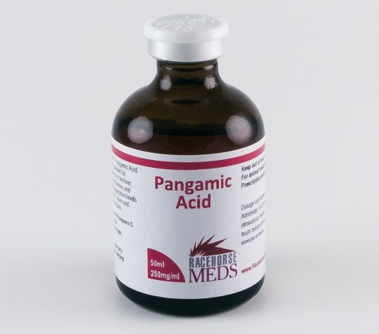 pangamic acid
