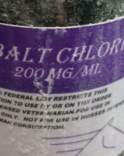 Cobalt Chloride