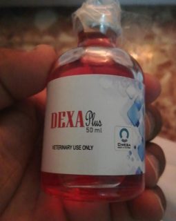 dexa plus