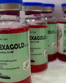 dexagold