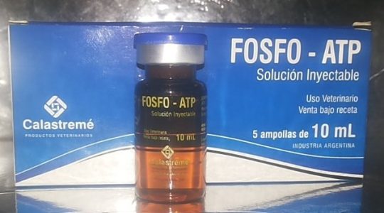 fosfo - ATP Action
