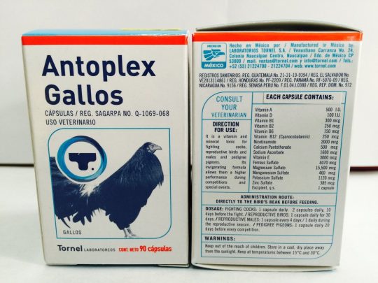 Antoplex gallos