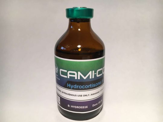 cami-cortyl