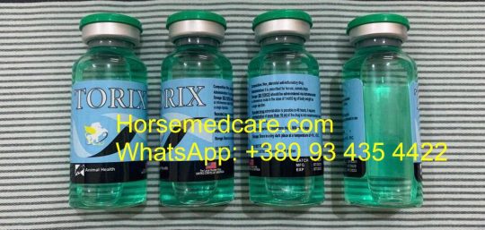 TORIX