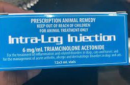 intra log injection