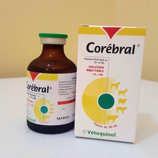 Corebral