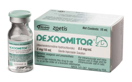 Dexdomitor