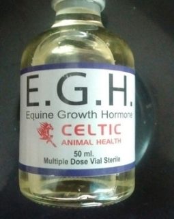 EGH