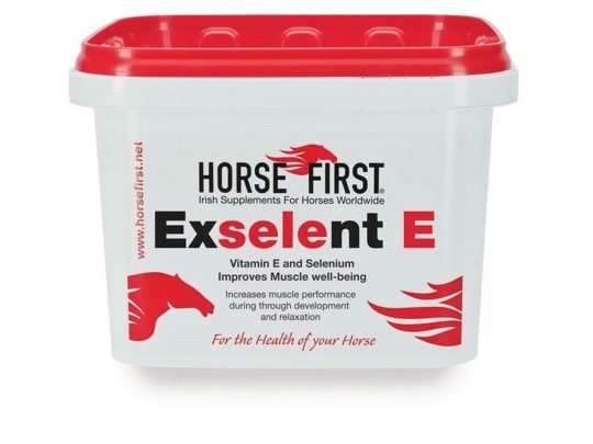 Horse First Exselent E