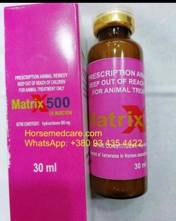 Matrix 500
