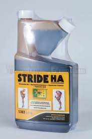 STRIDE HA