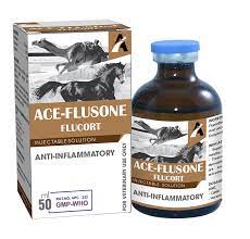 Ace fluson