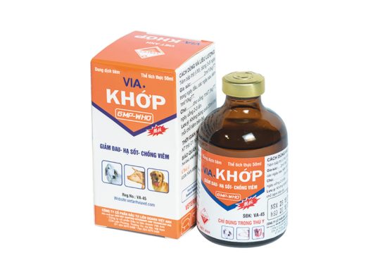 VIA KHỚP