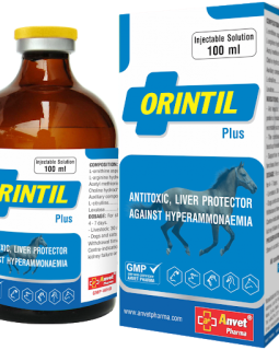 ORINTIL