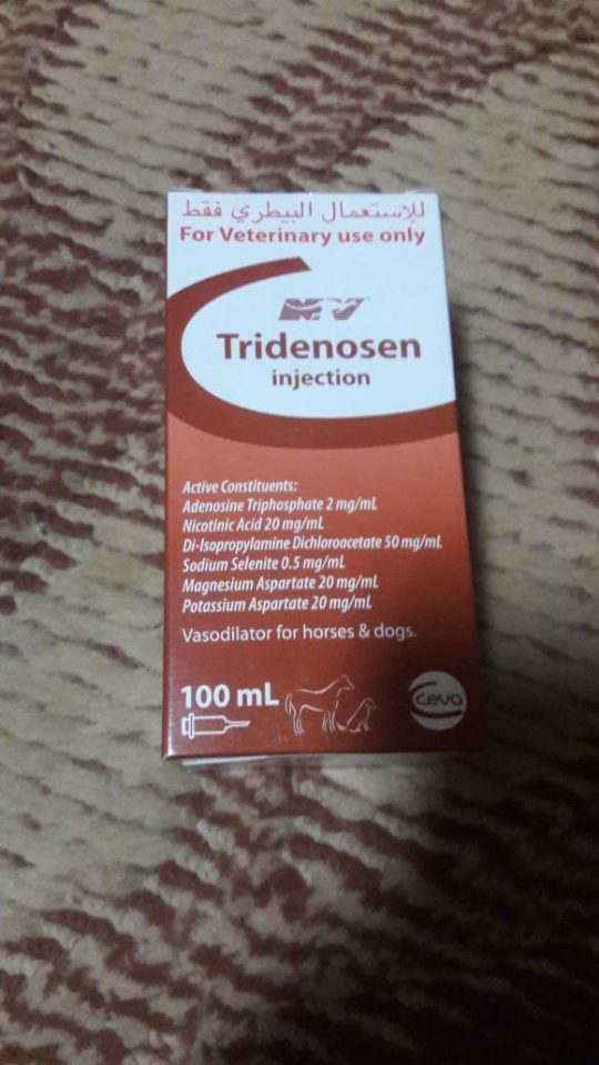 Tridenosen