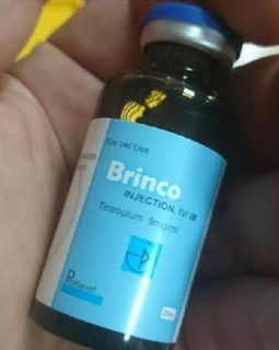 BRINCO – 25 ML