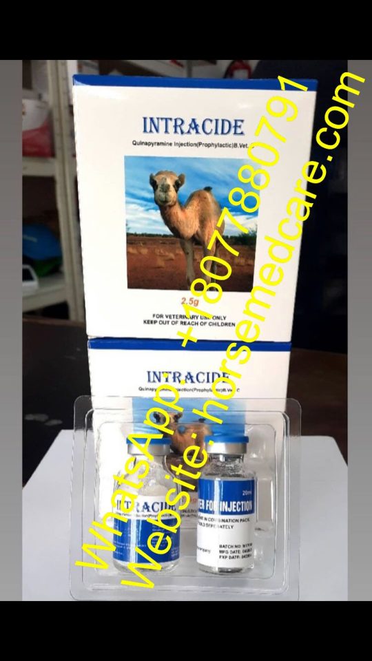 INTRACIDE