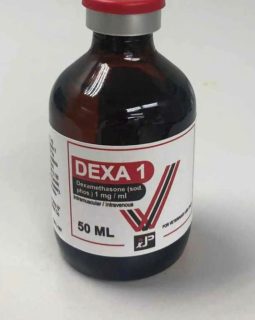DEXA 1