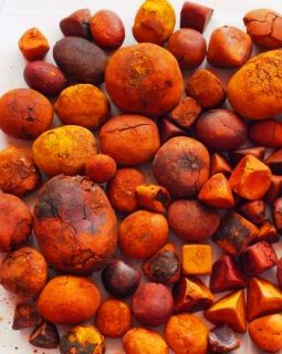 COW GALLSTONE