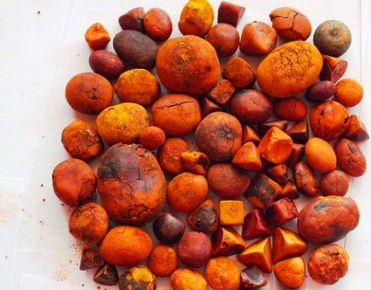 COW GALLSTONE